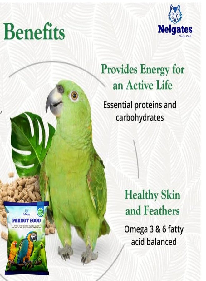 Nelgates Parrot Bird Food for Big Parrot African Grey Parrot,Sun Conure,Macaw,Lovebird and Alexander All Life Stages Natural Mix 500grams - Image 3